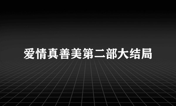 爱情真善美第二部大结局