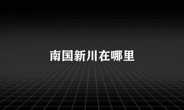 南国新川在哪里