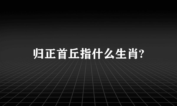 归正首丘指什么生肖?