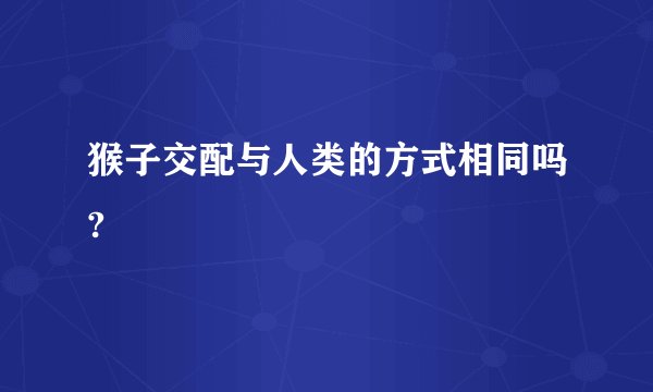 猴子交配与人类的方式相同吗?