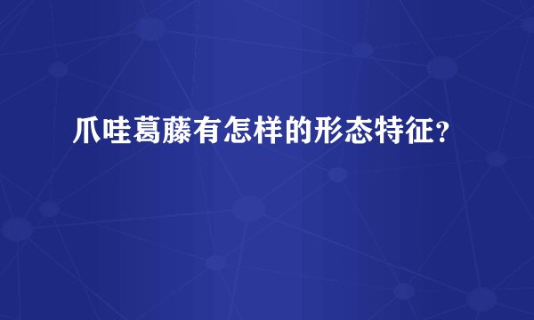 爪哇葛藤有怎样的形态特征？