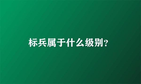 标兵属于什么级别？
