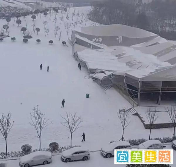 雪又背锅!河南信阳“体育馆”被积雪压塌:豆腐渣工程应彻查!