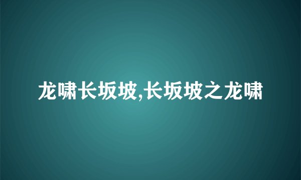 龙啸长坂坡,长坂坡之龙啸