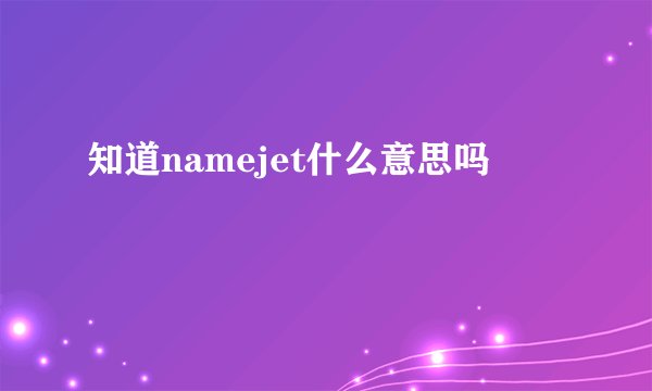 知道namejet什么意思吗