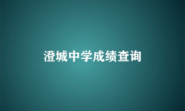 澄城中学成绩查询