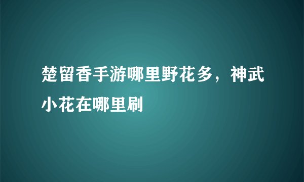 楚留香手游哪里野花多，神武小花在哪里刷