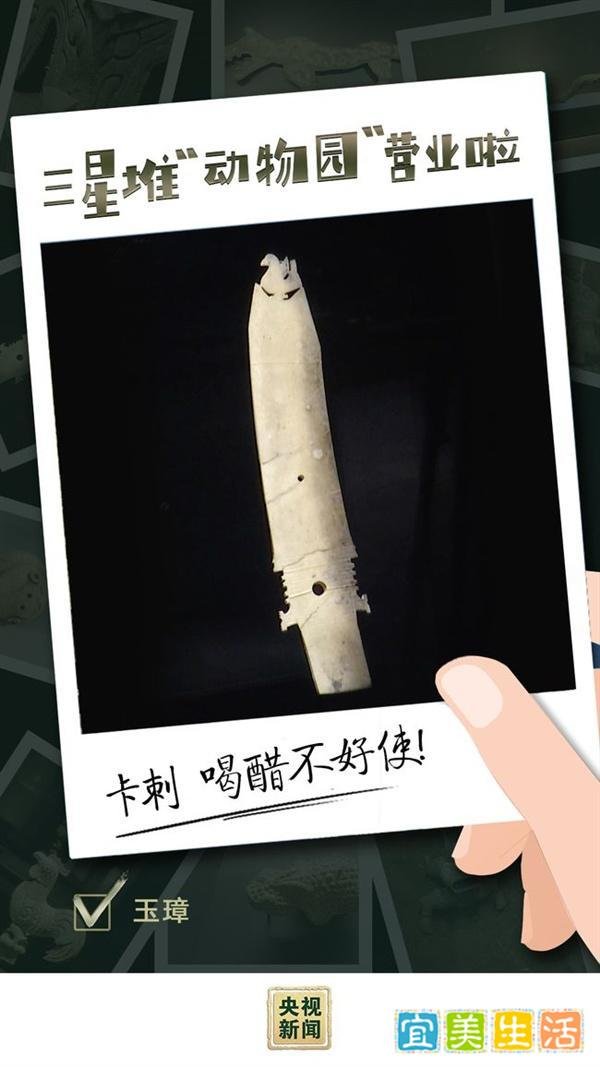 三星堆“动物园”营业啦 这是咋情况？