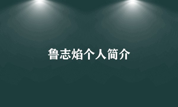 鲁志焰个人简介