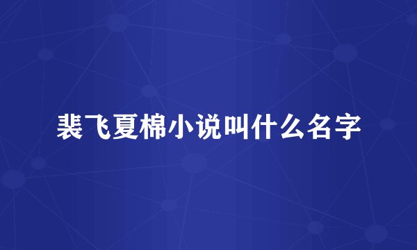 裴飞夏棉小说叫什么名字