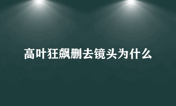 高叶狂飙删去镜头为什么