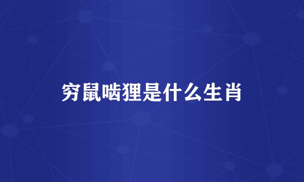 穷鼠啮狸是什么生肖