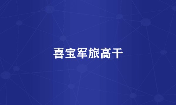 喜宝军旅高干
