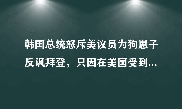 韩国总统怒斥美议员为狗崽子反讽拜登，只因在美国受到太多羞辱
