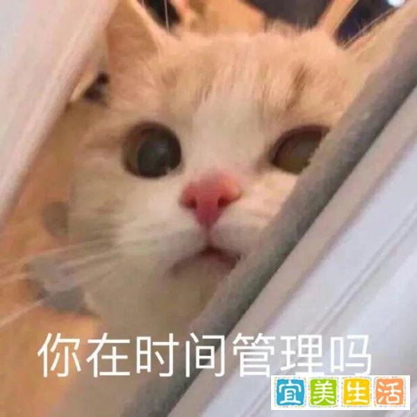 女朋友睡着后,男生会偷偷做什么?