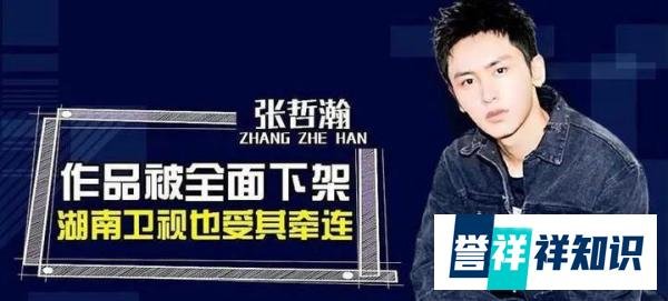这两年被国家封杀的十位明星