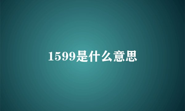 1599是什么意思