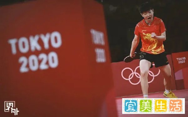 全红婵“杏哥”被抢注？申请公司曾抢注过“瑰蝠”商标