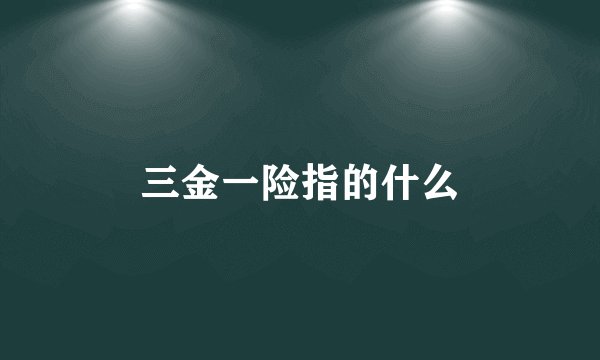 三金一险指的什么