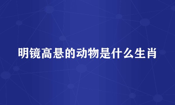 明镜高悬的动物是什么生肖