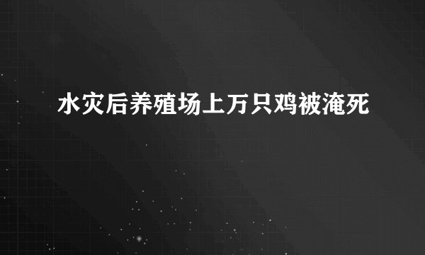 水灾后养殖场上万只鸡被淹死