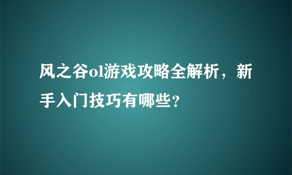 风之谷ol游戏攻略全解析，新手入门技巧有哪些？