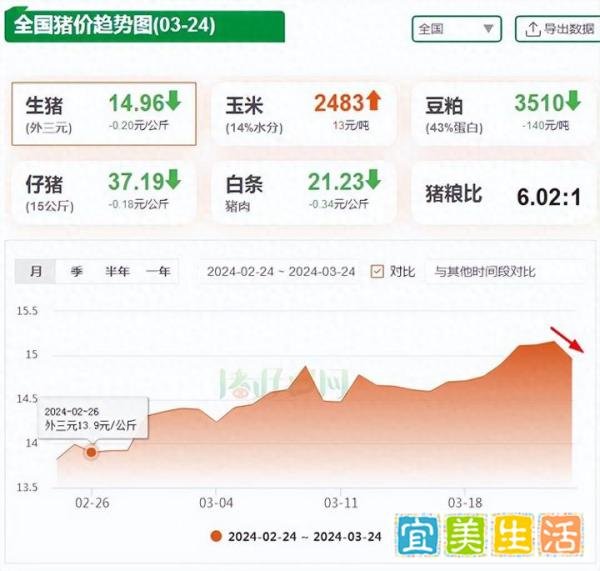 突变！3月24日猪价“塌方”下跌！21地集体“飘绿”