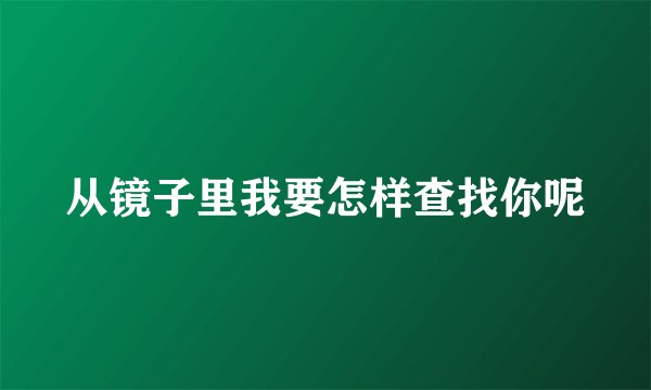 从镜子里我要怎样查找你呢