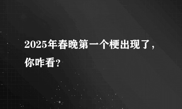 2025年春晚第一个梗出现了，你咋看？