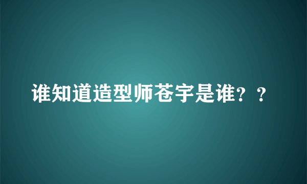 谁知道造型师苍宇是谁？？