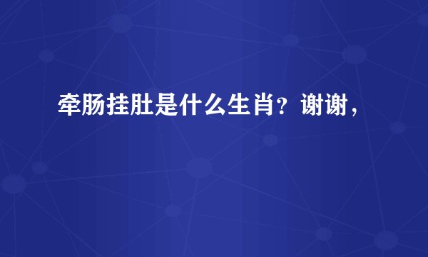 牵肠挂肚是什么生肖？谢谢，