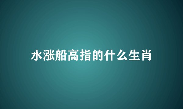 水涨船高指的什么生肖