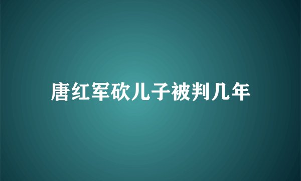 唐红军砍儿子被判几年