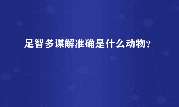 足智多谋解准确是什么动物？