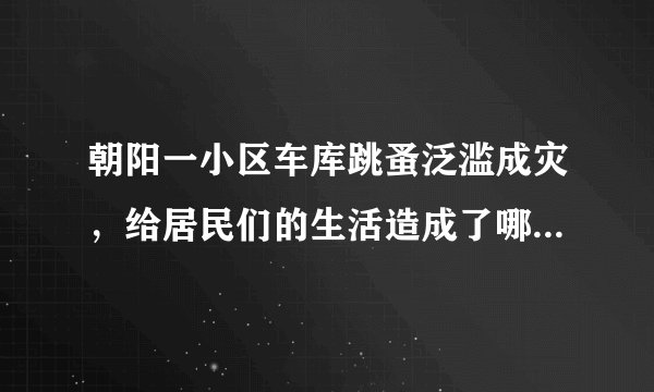 朝阳一小区车库跳蚤泛滥成灾，给居民们的生活造成了哪些影响？