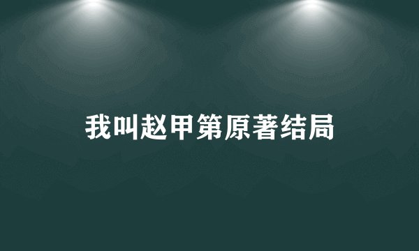 我叫赵甲第原著结局
