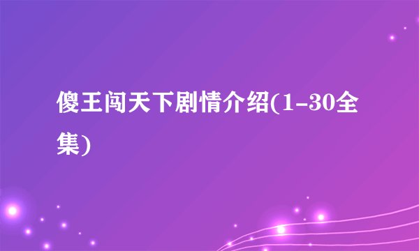傻王闯天下剧情介绍(1-30全集)