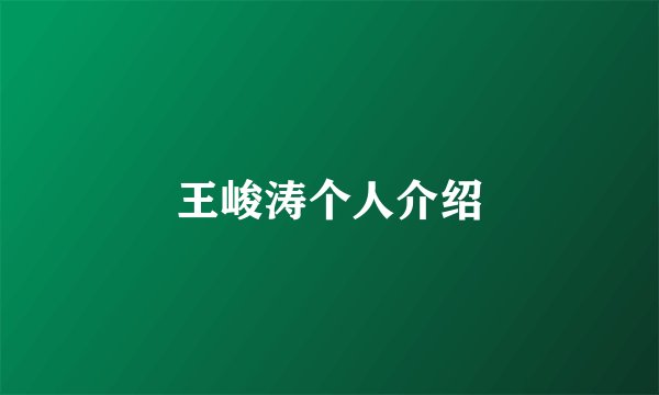 王峻涛个人介绍