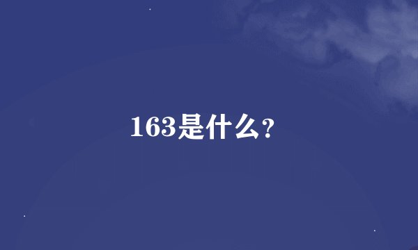 163是什么？
