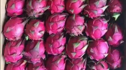 50箱越南进口涉疫火龙果流入太原，当地有关部门采取了哪些应对措施？