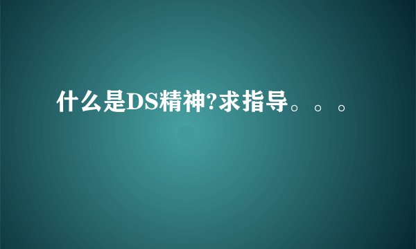 什么是DS精神?求指导。。。