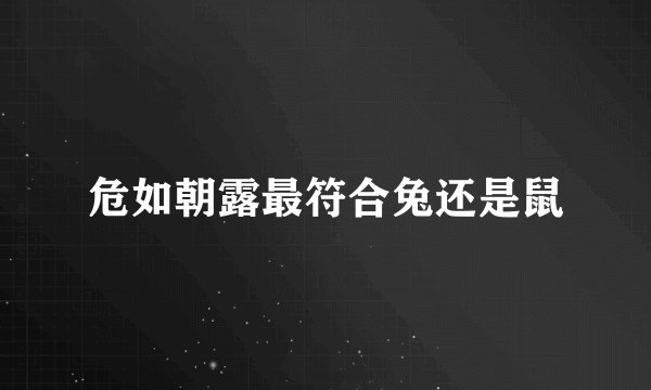 危如朝露最符合兔还是鼠