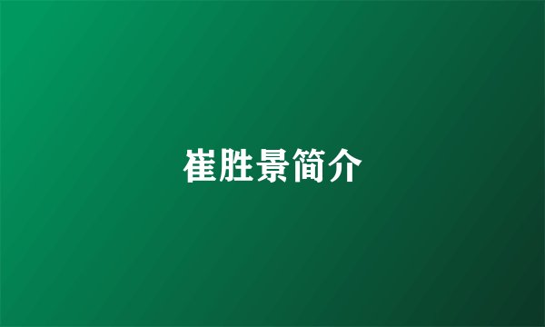 崔胜景简介