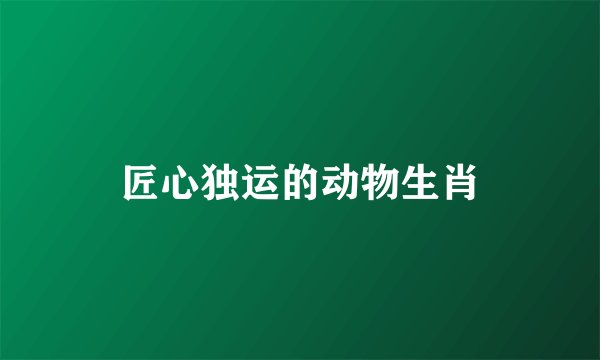 匠心独运的动物生肖
