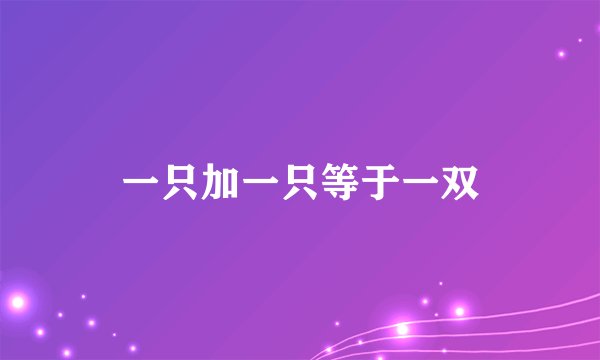 一只加一只等于一双
