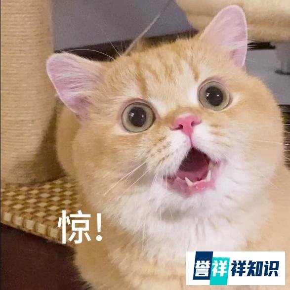 怎么用信用卡优惠喝星巴克