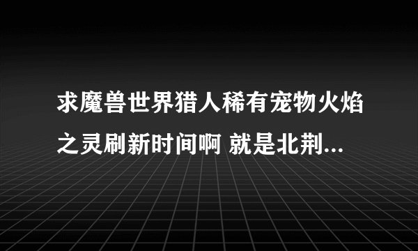 求魔兽世界猎人稀有宠物火焰之灵刷新时间啊 就是北荆棘谷的那个...