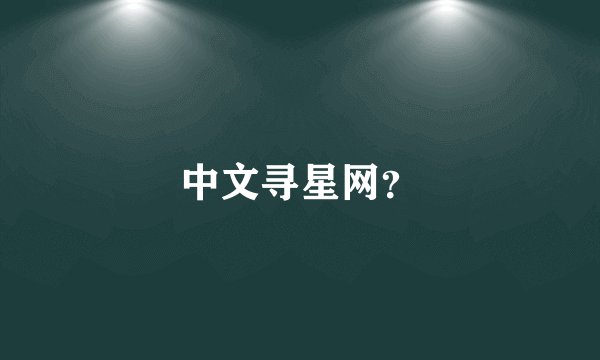 中文寻星网？