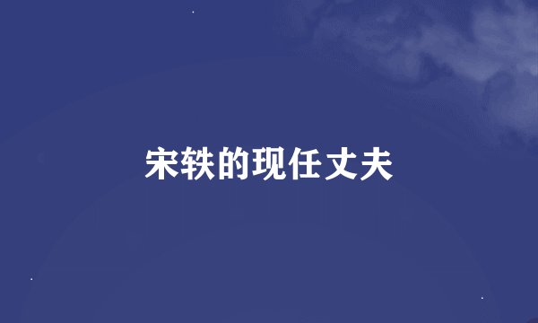 宋轶的现任丈夫