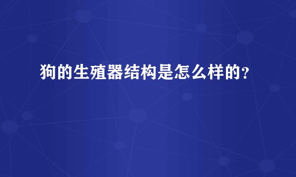 狗的生殖器结构是怎么样的？